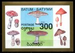 Грузия • Батуми 1994 г. • 500 • ядовитые грибы • локальный выпуск • блок • MNH OG XF