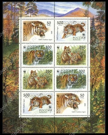 Россия 1993 г. • СК# 124-7 • 50 - 500 руб. • Уссурийские тигры • мал. лист ( 8 марок ) • MNH OG XF ( кат. - ₽ 300 )