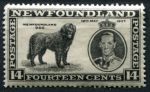Ньюфаундленд 1937 г. • Gb# 262 • 14 c. • Коронация Георга VI (доп. выпуск) • собака ньюфаундленд • перф: 14 • MNH OG VF ( кат.- £ 3 )