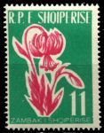Албания 1961 г. • Mi# 635 • 11 L. • Полевые цветы • концовка серии • MNH OG XF ( кат.- € 9 )